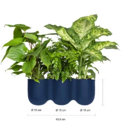 QUVIO Wand Bloempot-trio Plastic - Donker Blauw - POPPY 8 QUVIO Wand Bloempot-trio Plastic - Donker Blauw - POPPY -Groene Hoek 1000071728 0102