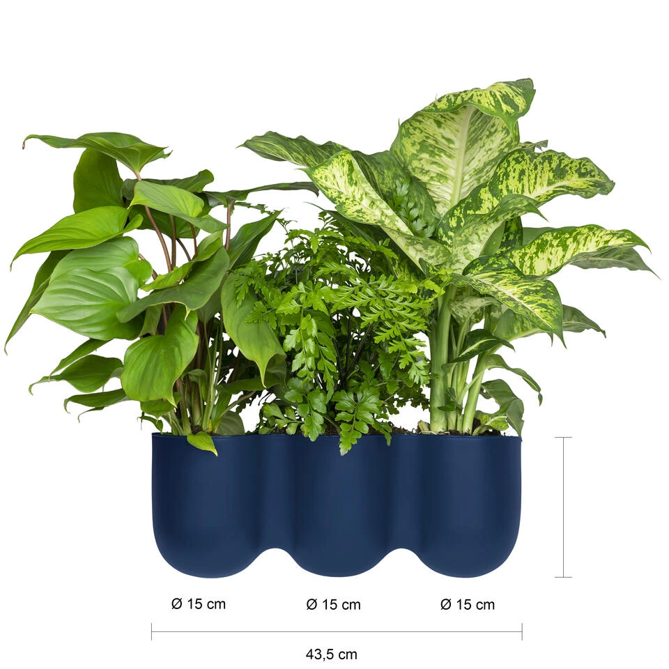 QUVIO Wand Bloempot-trio Plastic - Donker Blauw - POPPY 5 QUVIO Wand Bloempot-trio Plastic - Donker Blauw - POPPY - Afbeelding 3