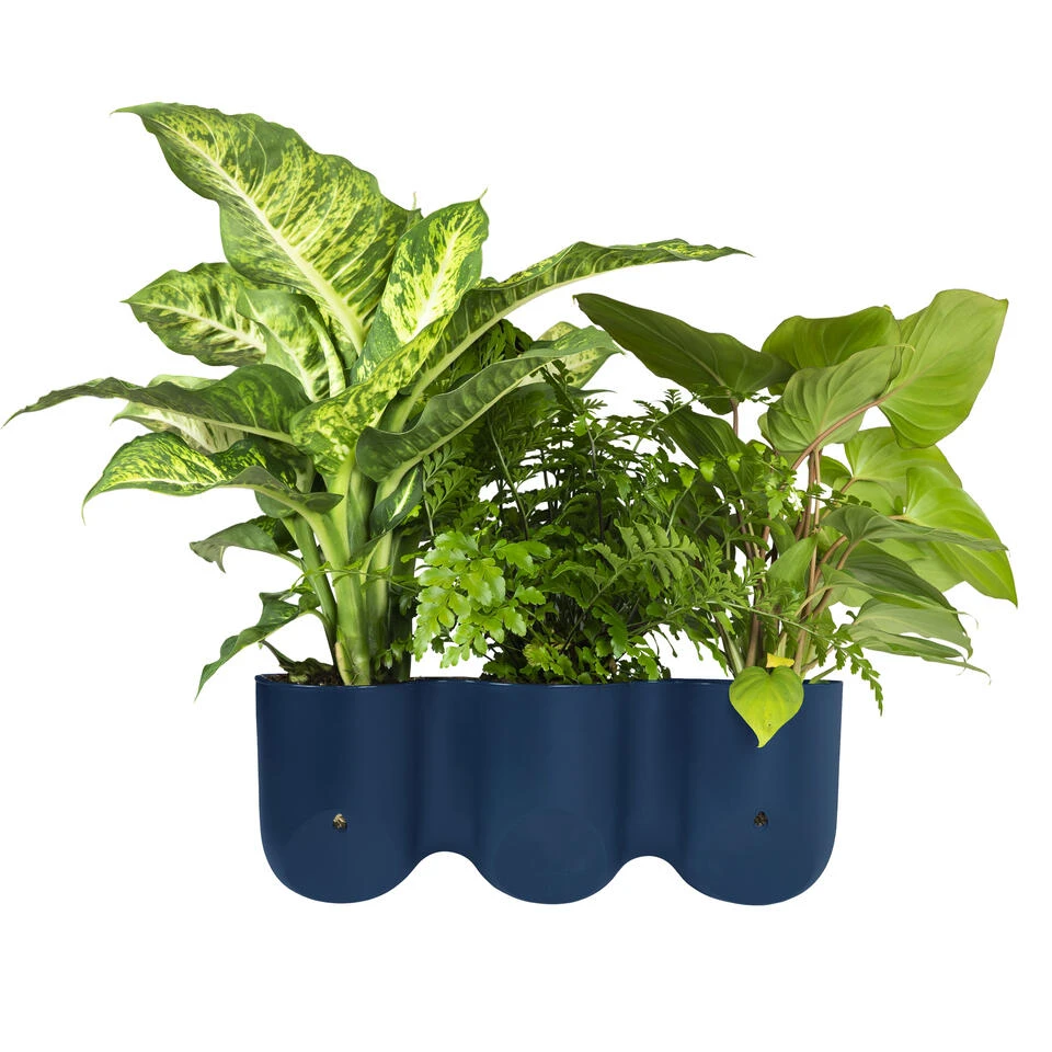 QUVIO Wand Bloempot-trio Plastic - Donker Blauw - POPPY 6 QUVIO Wand Bloempot-trio Plastic - Donker Blauw - POPPY - Afbeelding 4