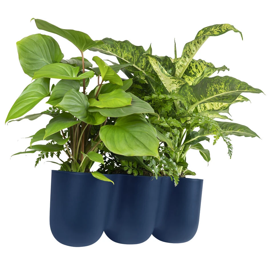 QUVIO Wand Bloempot-trio Plastic - Donker Blauw - POPPY 3 QUVIO Wand Bloempot-trio Plastic - Donker Blauw - POPPY