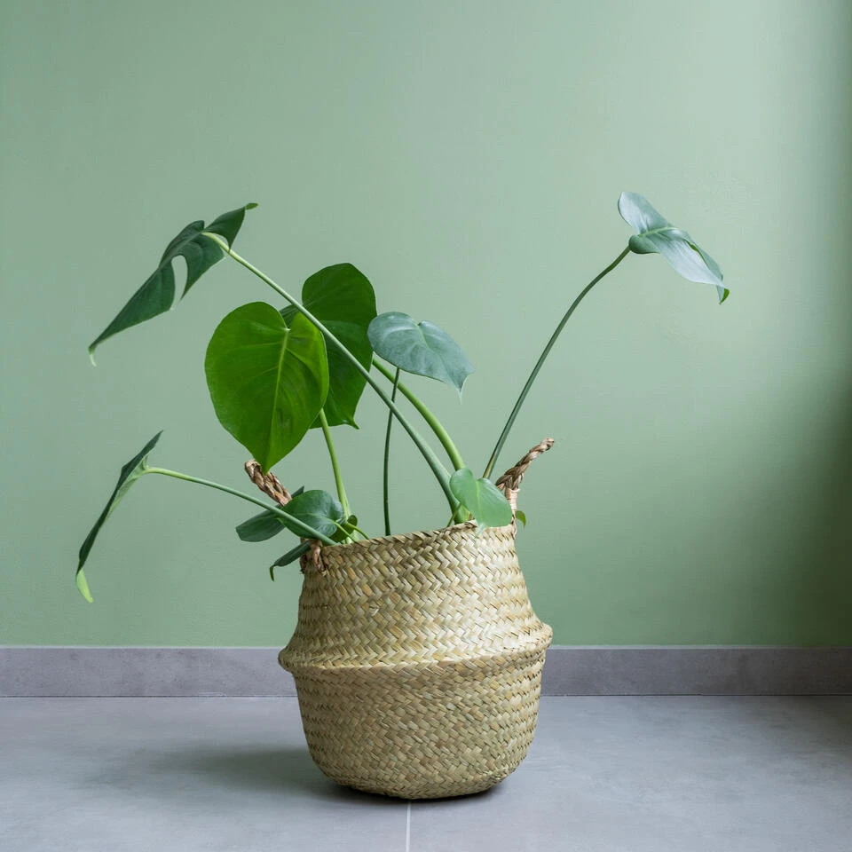 QUVIO Bloempot Gevlochten Rond Met Handvaten - M 4 QUVIO Bloempot Gevlochten Rond Met Handvaten - M - Afbeelding 2