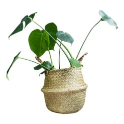 QUVIO Bloempot Gevlochten Rond Met Handvaten - M