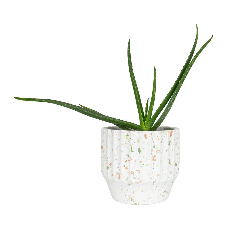 QUVIO Bloempot - Beton - Wit Met Gekleurde Spikkels 3 QUVIO Bloempot - Beton - Wit Met Gekleurde Spikkels