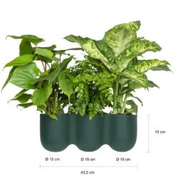 QUVIO Wand Bloempot-trio Plastic - Donker Groen - POPPY -Groene Hoek 1000071738 0102