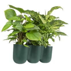 QUVIO Wand Bloempot-trio Plastic - Donker Groen - POPPY