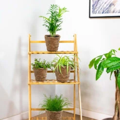 Mand Coco – Zeegras – Terami Kasih – ⌀14 Cm –↕ 10-15 Cm -Groene Hoek 1000072869 0103