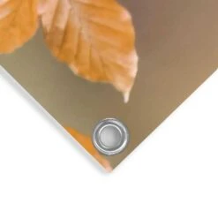 Tuinposter Goudvink 60x80 Cm Oranje -Groene Hoek 1000088338 0103