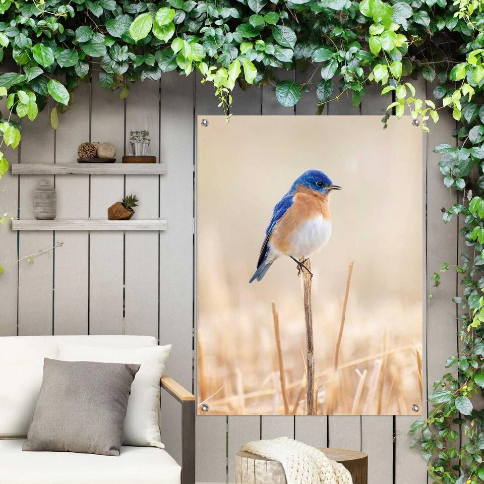 Tuinposter Blauw Vogeltje 80x60 Cm Blauw 4 Tuinposter Blauw Vogeltje 80x60 Cm Blauw - Afbeelding 2
