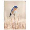 Tuinposter Blauw Vogeltje 80x60 Cm Blauw 2 Tuinposter Blauw Vogeltje 80x60 Cm Blauw -Groene Hoek 1000088340