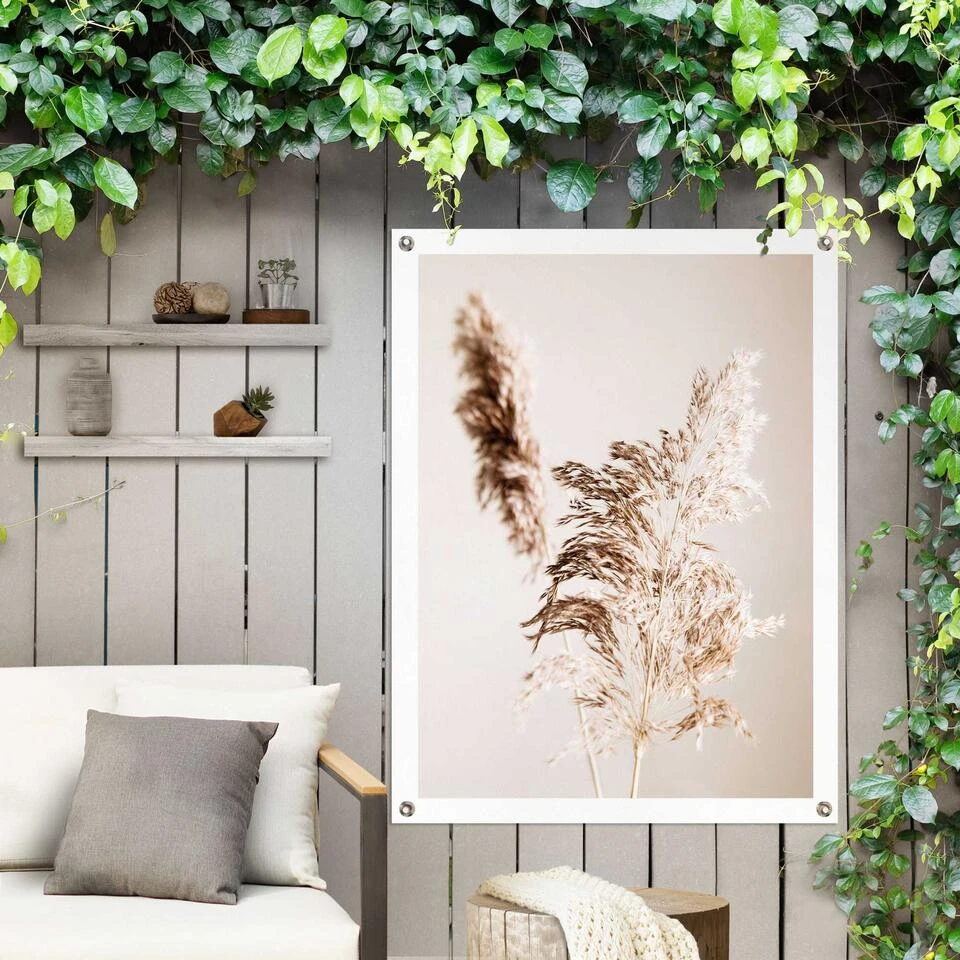 Tuinposter Pampasgras 80x60 Cm Beige 4 Tuinposter Pampasgras 80x60 Cm Beige - Afbeelding 2