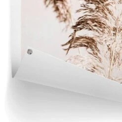 Tuinposter Pampasgras 80x60 Cm Beige 8 Tuinposter Pampasgras 80x60 Cm Beige -Groene Hoek 1000088342 0102