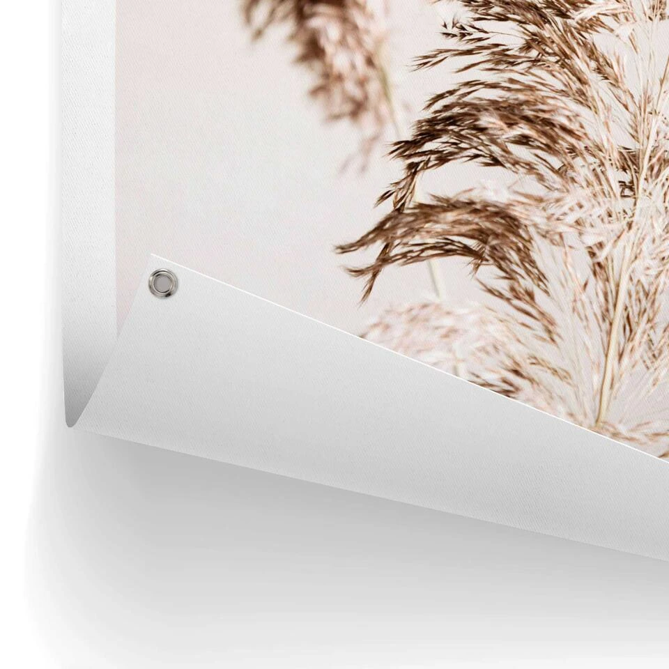 Tuinposter Pampasgras 80x60 Cm Beige 5 Tuinposter Pampasgras 80x60 Cm Beige - Afbeelding 3