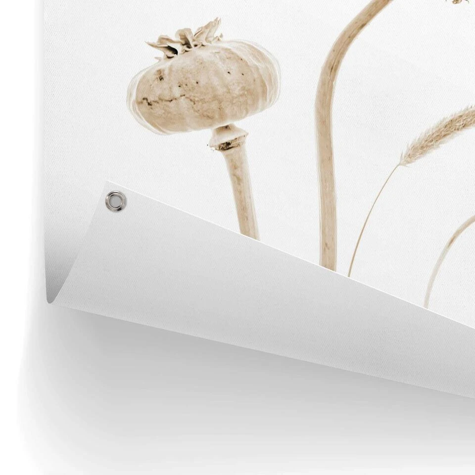 Tuinposter Droogbloemen 80x60 Cm Beige 5 Tuinposter Droogbloemen 80x60 Cm Beige - Afbeelding 3