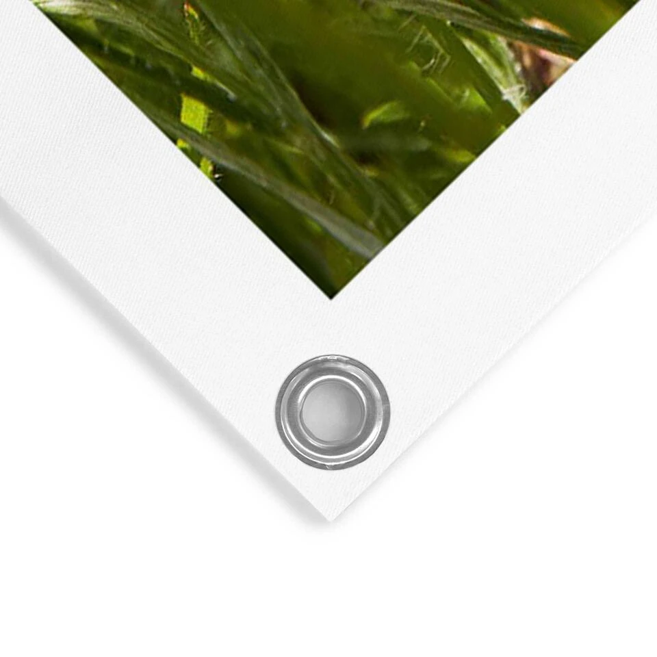 Tuinposter Bloemenveld 80x60 Cm Bont 6 Tuinposter Bloemenveld 80x60 Cm Bont - Afbeelding 4