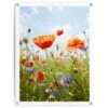 Tuinposter Bloemenveld 80x60 Cm Bont -Groene Hoek 1000088351