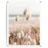 Tuinposter Grasses 80x60 Cm Beige 2 Tuinposter Grasses 80x60 Cm Beige -Groene Hoek 1000088356