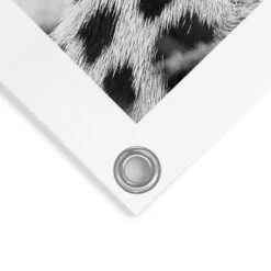 Tuinposter Luipaard 80x60 Cm Zwart-Wit -Groene Hoek 1000088359 0103