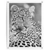 Tuinposter Luipaard 80x60 Cm Zwart-Wit -Groene Hoek 1000088359