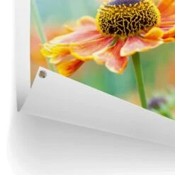 Tuinposter Bloem 80x60 Cm Oranje -Groene Hoek 1000088360 0102