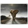 Tuinposter Wandelende Olifant 60x80 Cm Bruin -Groene Hoek 1000088363
