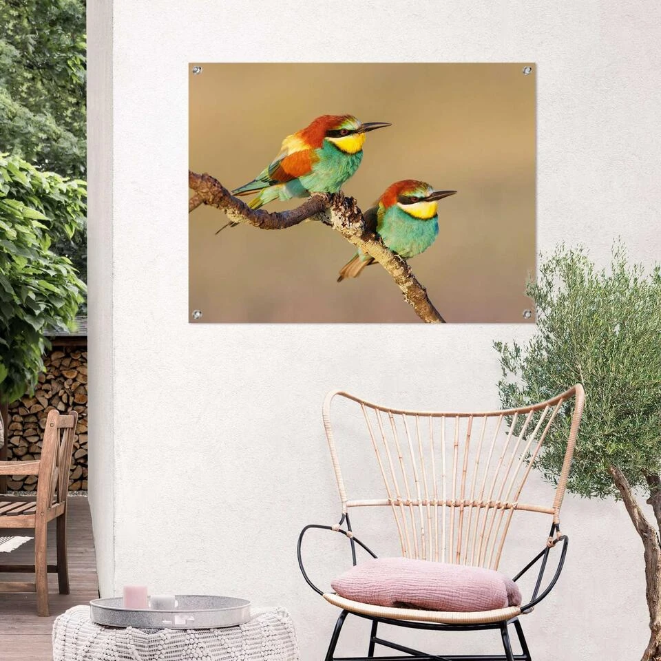 Tuinposter De Bijeneter 60x80 Cm Bont 4 Tuinposter De Bijeneter 60x80 Cm Bont - Afbeelding 2