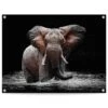 Tuinposter Olifant 60x80 Cm Bruin -Groene Hoek 1000088369