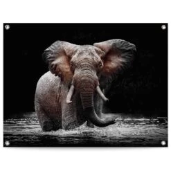 Tuinposter Olifant 60x80 Cm Bruin