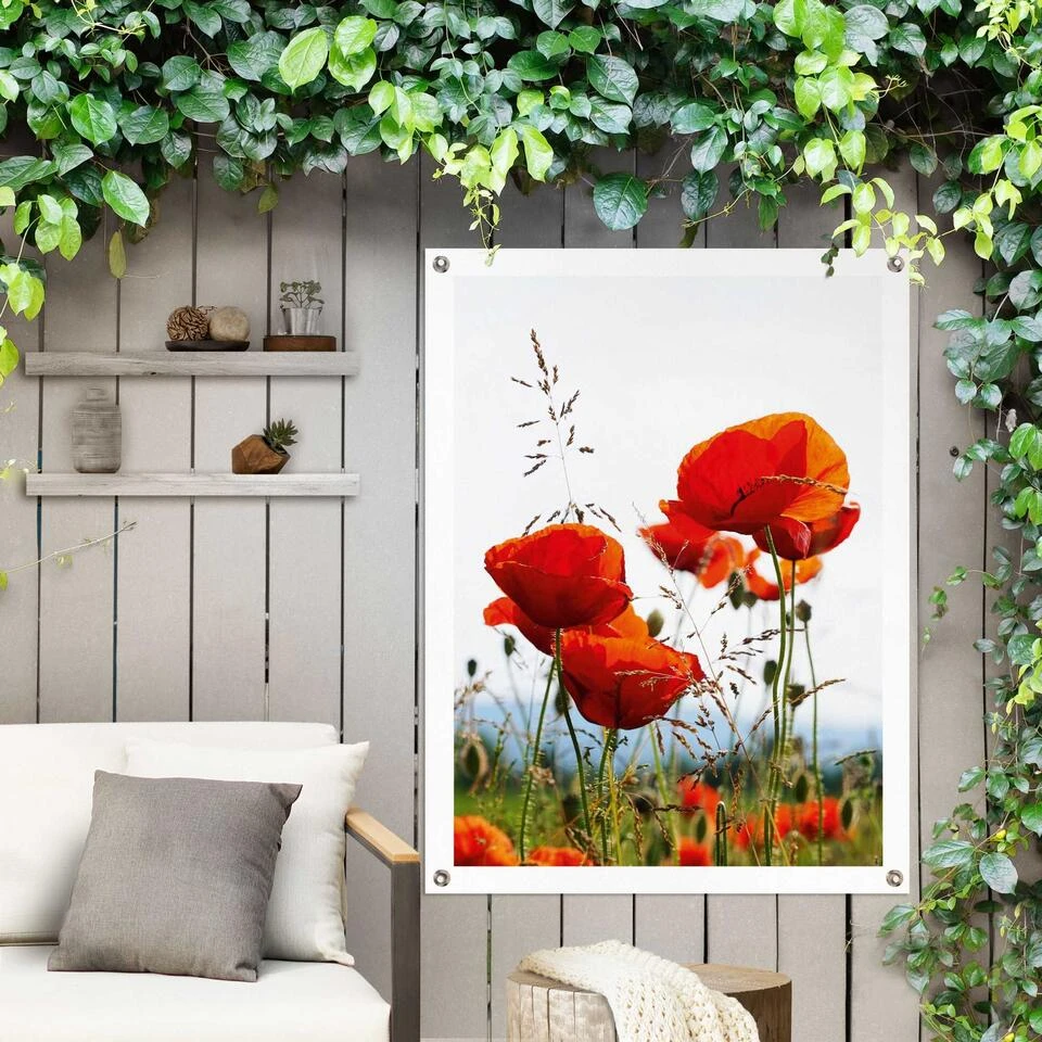 Tuinposter Klaprozen 80x60 Cm Rood 4 Tuinposter Klaprozen 80x60 Cm Rood - Afbeelding 2