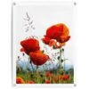 Tuinposter Klaprozen 80x60 Cm Rood 1 Tuinposter Klaprozen 80x60 Cm Rood -Groene Hoek 1000088373