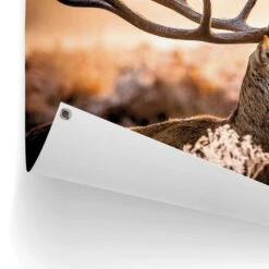 Tuinposter Hert 60x80 Cm Bruin -Groene Hoek 1000088379 0102