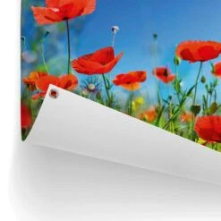 Tuinposter Zomerbloemen 60x80 Cm Rood -Groene Hoek 1000088387 0102