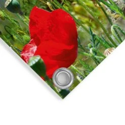 Tuinposter Zomerbloemen 60x80 Cm Rood -Groene Hoek 1000088387 0103