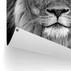 Tuinposter Leeuw Met Blauwe Ogen 80x60 Cm Zwart 8 Tuinposter Leeuw Met Blauwe Ogen 80x60 Cm Zwart -Groene Hoek 1000088388 0102
