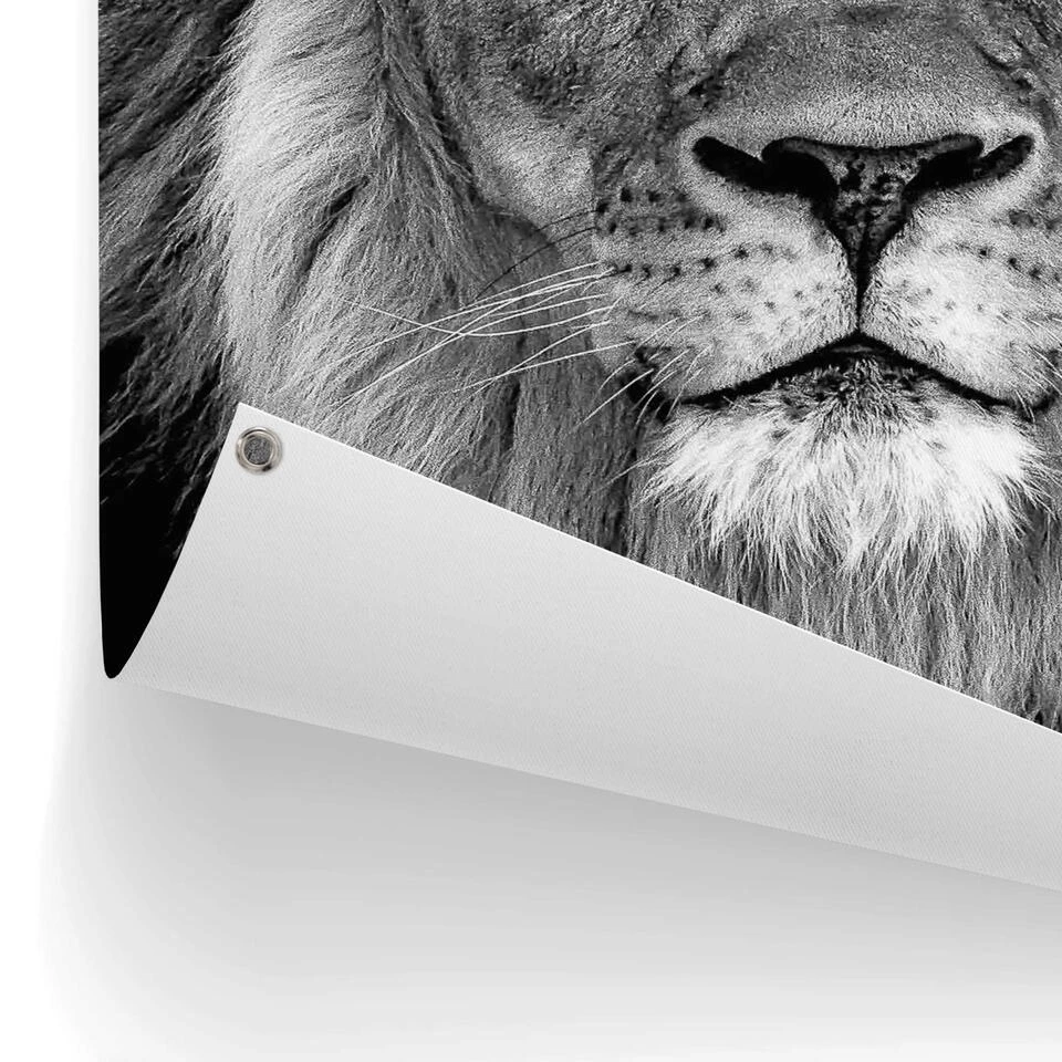 Tuinposter Leeuw Met Blauwe Ogen 80x60 Cm Zwart 5 Tuinposter Leeuw Met Blauwe Ogen 80x60 Cm Zwart - Afbeelding 3