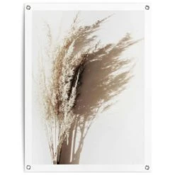 Tuinposter Zonnig Gras 80x60 Cm Beige