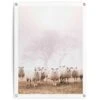 Tuinposter Schaap In De Mist 80x60 Cm Beige 1 Tuinposter Schaap In De Mist 80x60 Cm Beige -Groene Hoek 1000088395