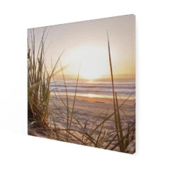 Art For The Home - Buitencanvas - Zonsondergang Duinen - 50x50cm -Groene Hoek 1000095129 0102