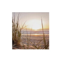 Art For The Home - Buitencanvas - Zonsondergang Duinen - 50x50cm