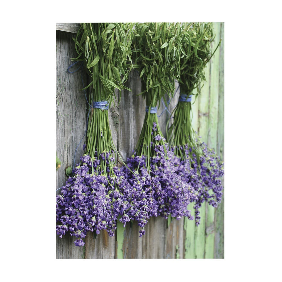 Art For The Home - Buitencanvas - Lavendel - 70x50cm 3 Art For The Home - Buitencanvas - Lavendel - 70x50cm