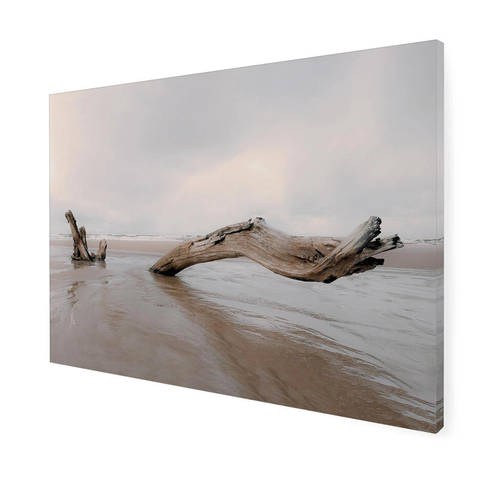 Art For The Home - Buitencanvas - Drijfhout - 50x70cm 5 Art For The Home - Buitencanvas - Drijfhout - 50x70cm - Afbeelding 3