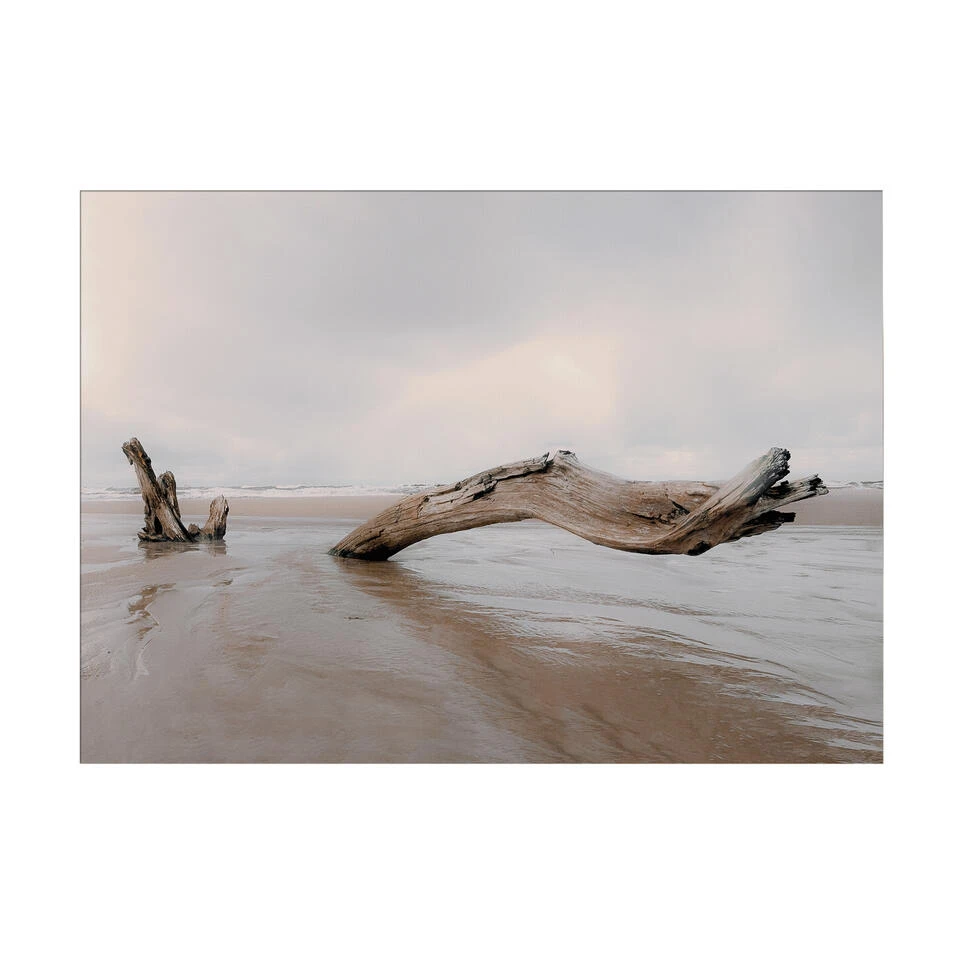 Art For The Home - Buitencanvas - Drijfhout - 50x70cm 3 Art For The Home - Buitencanvas - Drijfhout - 50x70cm