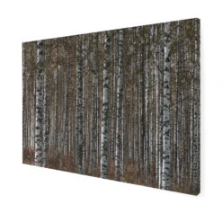 Art For The Home - Buitencanvas - Berkenbos - 50x70cm 8 Art For The Home - Buitencanvas - Berkenbos - 50x70cm -Groene Hoek 1000095367 0102