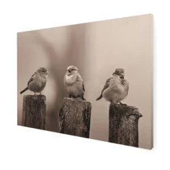 Art For The Home - Buitencanvas - Vroege Vogels - Sepia - 50x70cm 8 Art For The Home - Buitencanvas - Vroege Vogels - Sepia - 50x70cm -Groene Hoek 1000095368 0102
