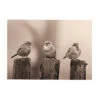 Art For The Home - Buitencanvas - Vroege Vogels - Sepia - 50x70cm 2 Art For The Home - Buitencanvas - Vroege Vogels - Sepia - 50x70cm -Groene Hoek 1000095368