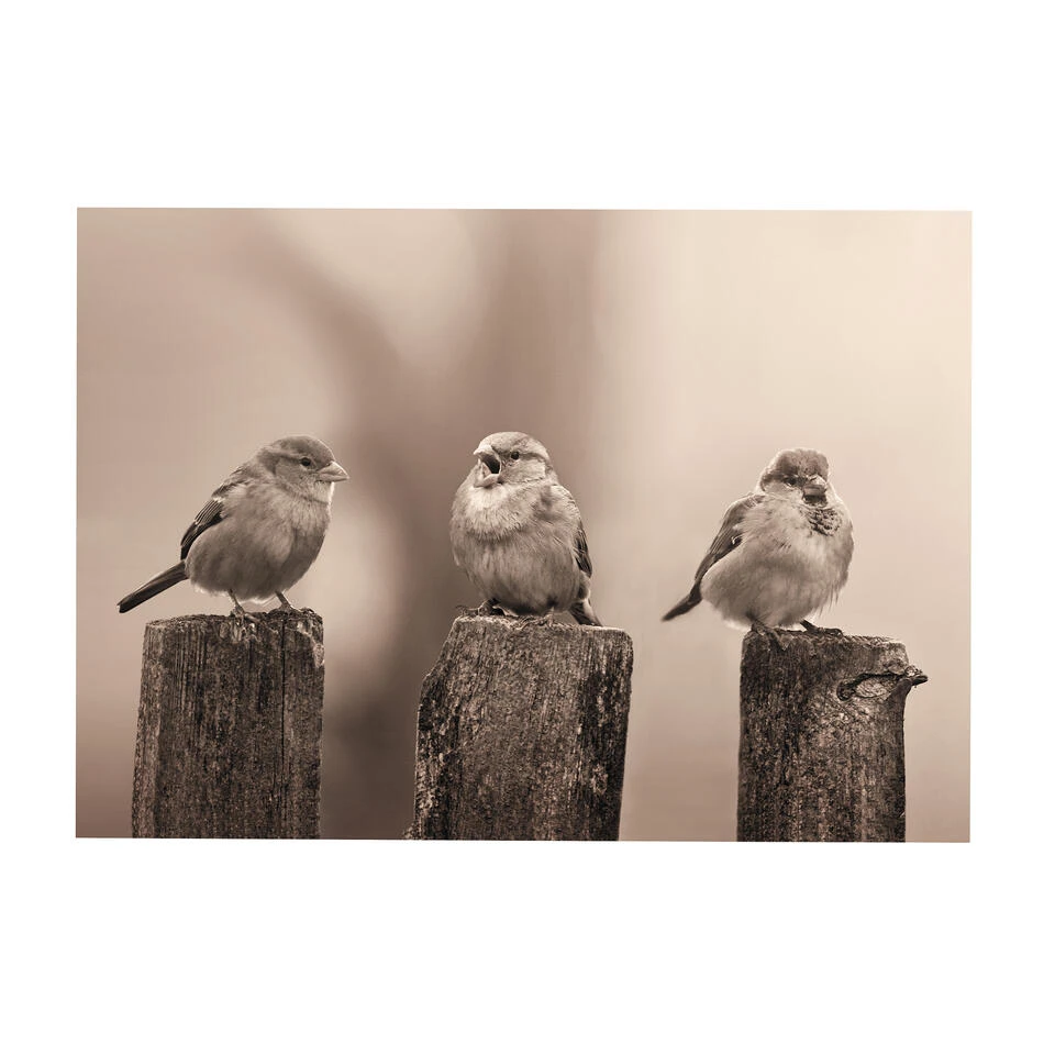 Art For The Home - Buitencanvas - Vroege Vogels - Sepia - 50x70cm 3 Art For The Home - Buitencanvas - Vroege Vogels - Sepia - 50x70cm