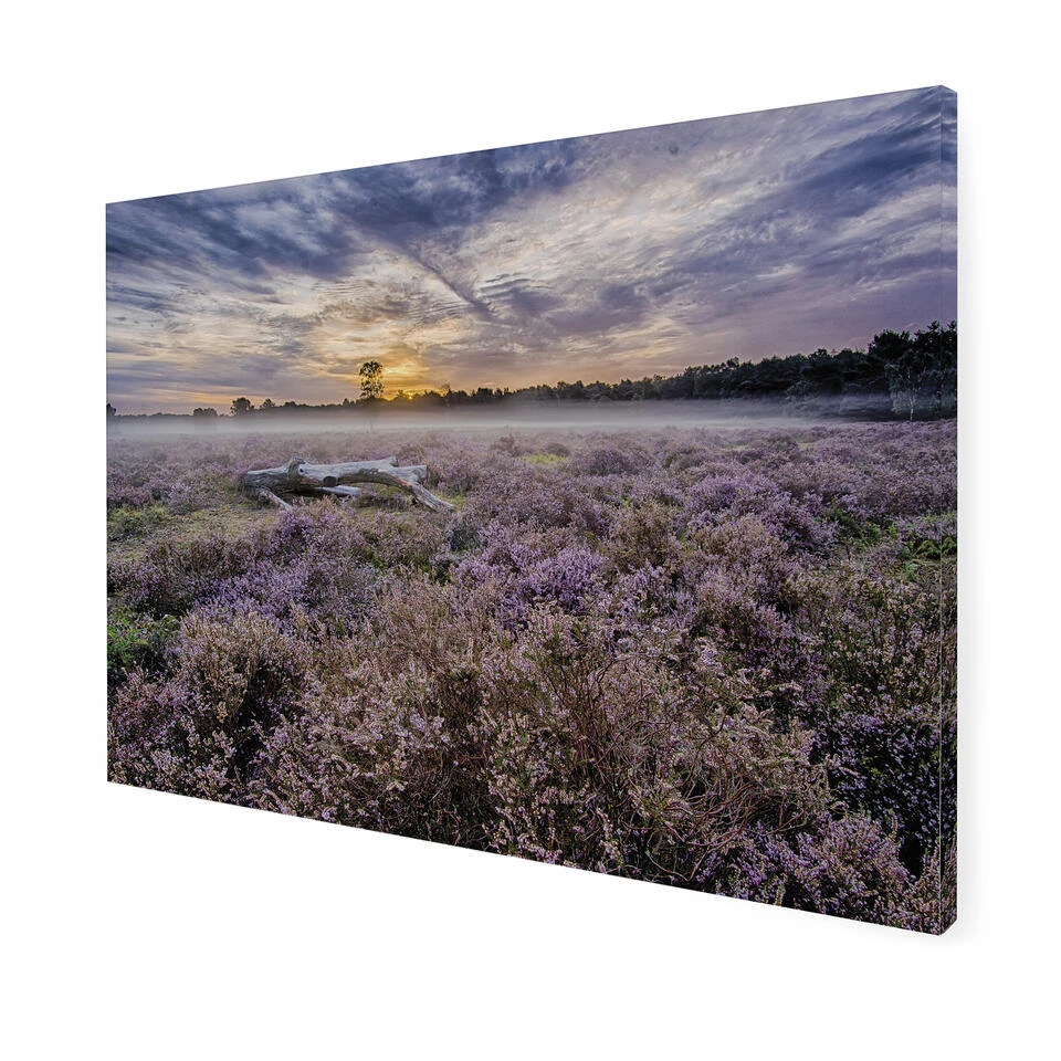 Art For The Home - Buitencanvas - Lavendelveld - 50x70cm 5 Art For The Home - Buitencanvas - Lavendelveld - 50x70cm - Afbeelding 3