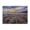 Art For The Home - Buitencanvas - Lavendelveld - 50x70cm -Groene Hoek 1000095369