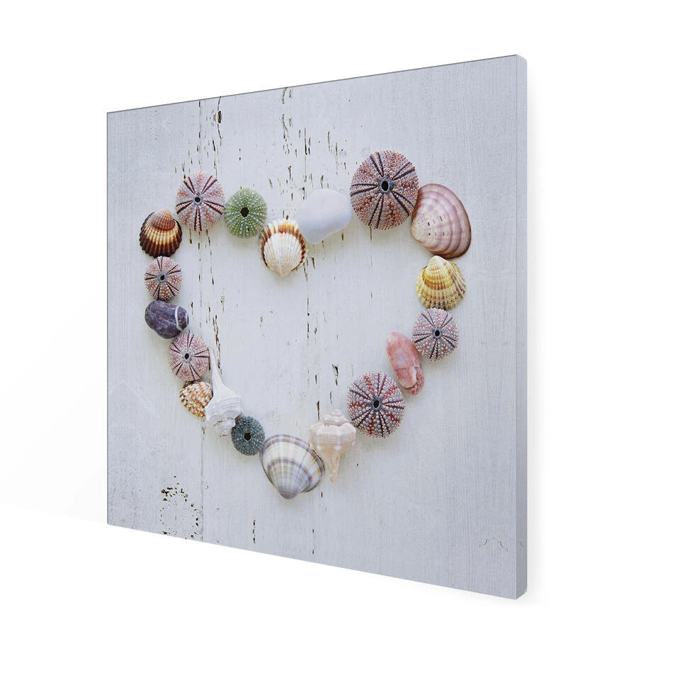 Art For The Home - Buitencanvas - Schelpenhart - 50x50cm 5 Art For The Home - Buitencanvas - Schelpenhart - 50x50cm - Afbeelding 3