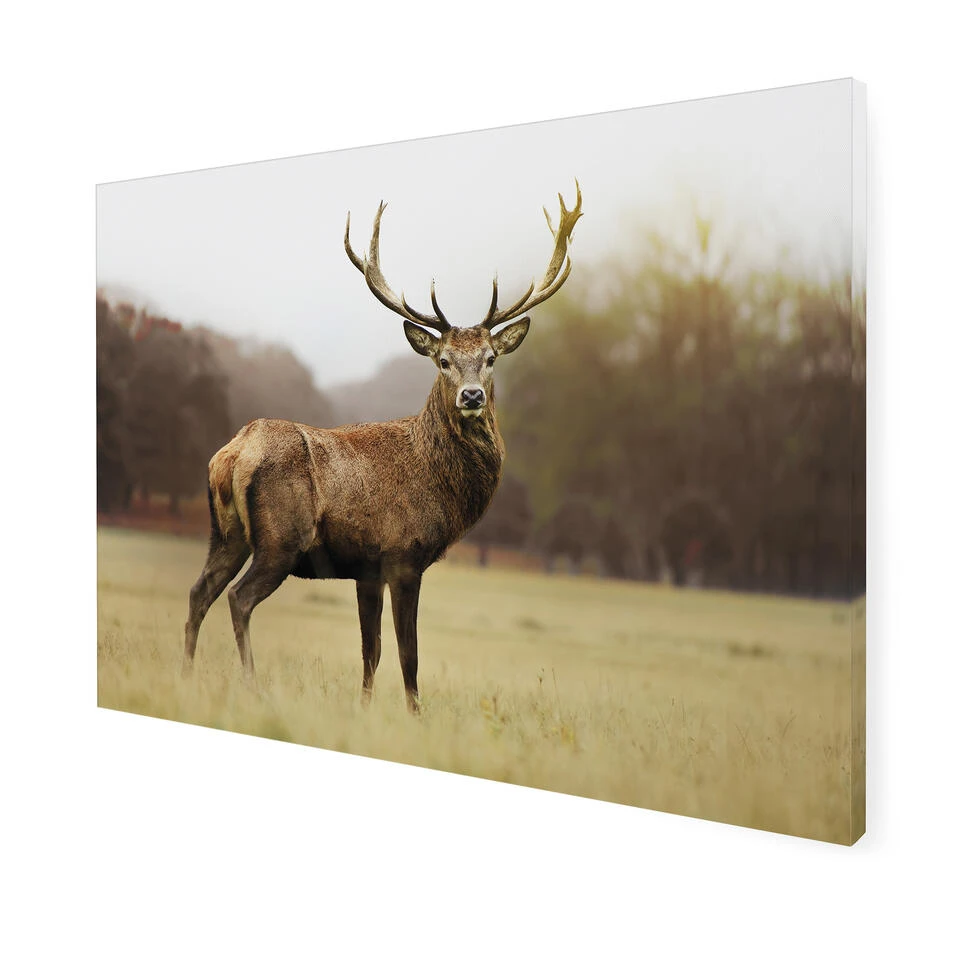 Art For The Home - Buitencanvas - Hert - 50x70cm 5 Art For The Home - Buitencanvas - Hert - 50x70cm - Afbeelding 3