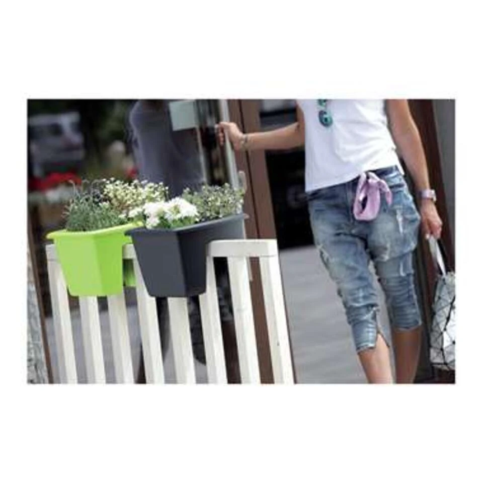 Prosperplast Prosperplats Balkon Plantenbak - Lichtgrijs - Kunststof - 40 Cm 4 Prosperplast Prosperplats Balkon Plantenbak - Lichtgrijs - Kunststof - 40 Cm - Afbeelding 2